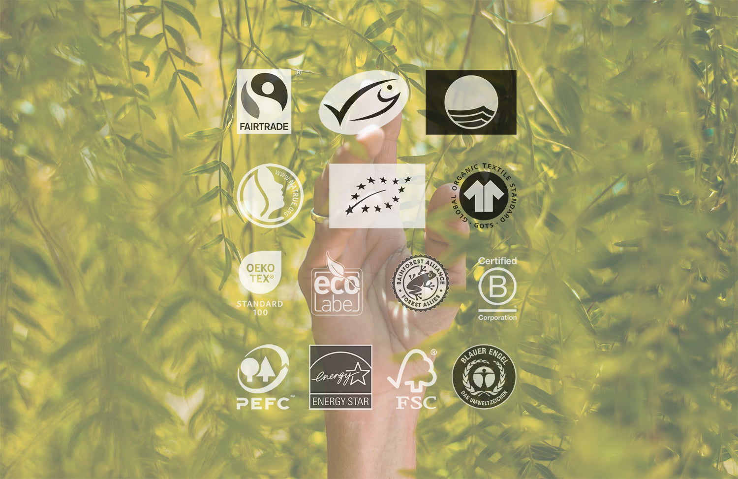 Sustainable certifications and seals: keys to conscious consumption