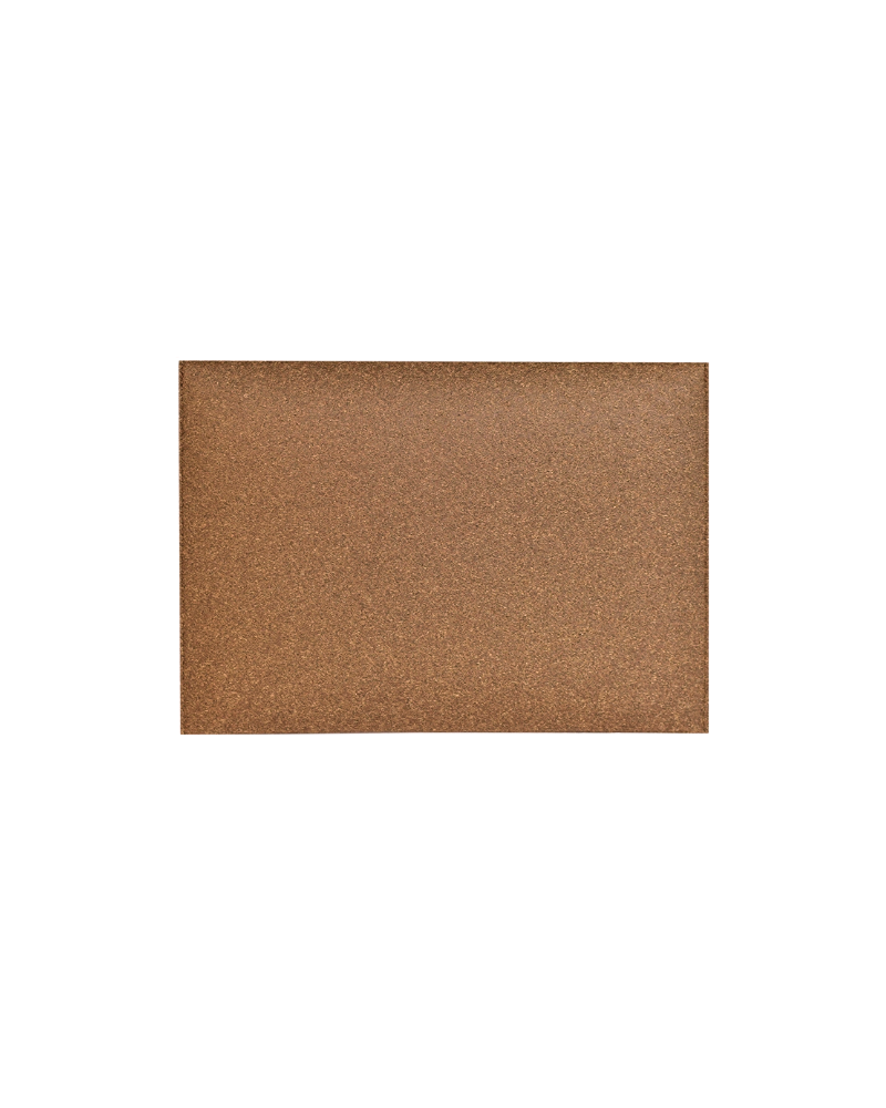 Palm iPad case